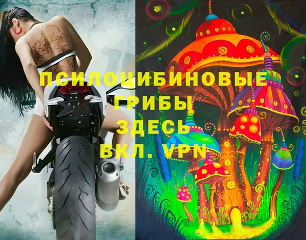 мяу мяу мука Козельск