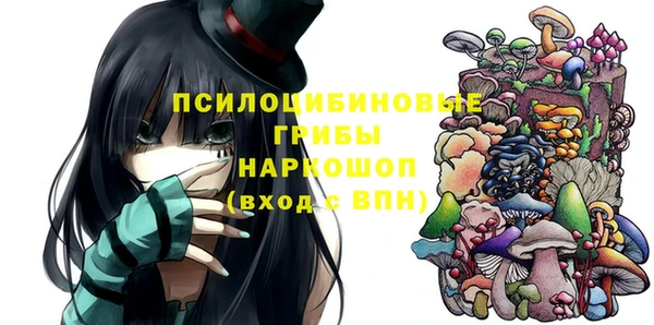 тгк Козловка