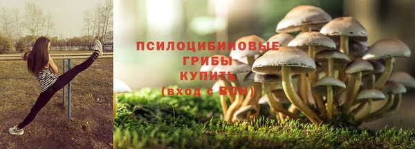 mdpv Кодинск