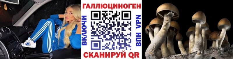 Купить где  Донской  Галлюциногенные грибы ЛСД 